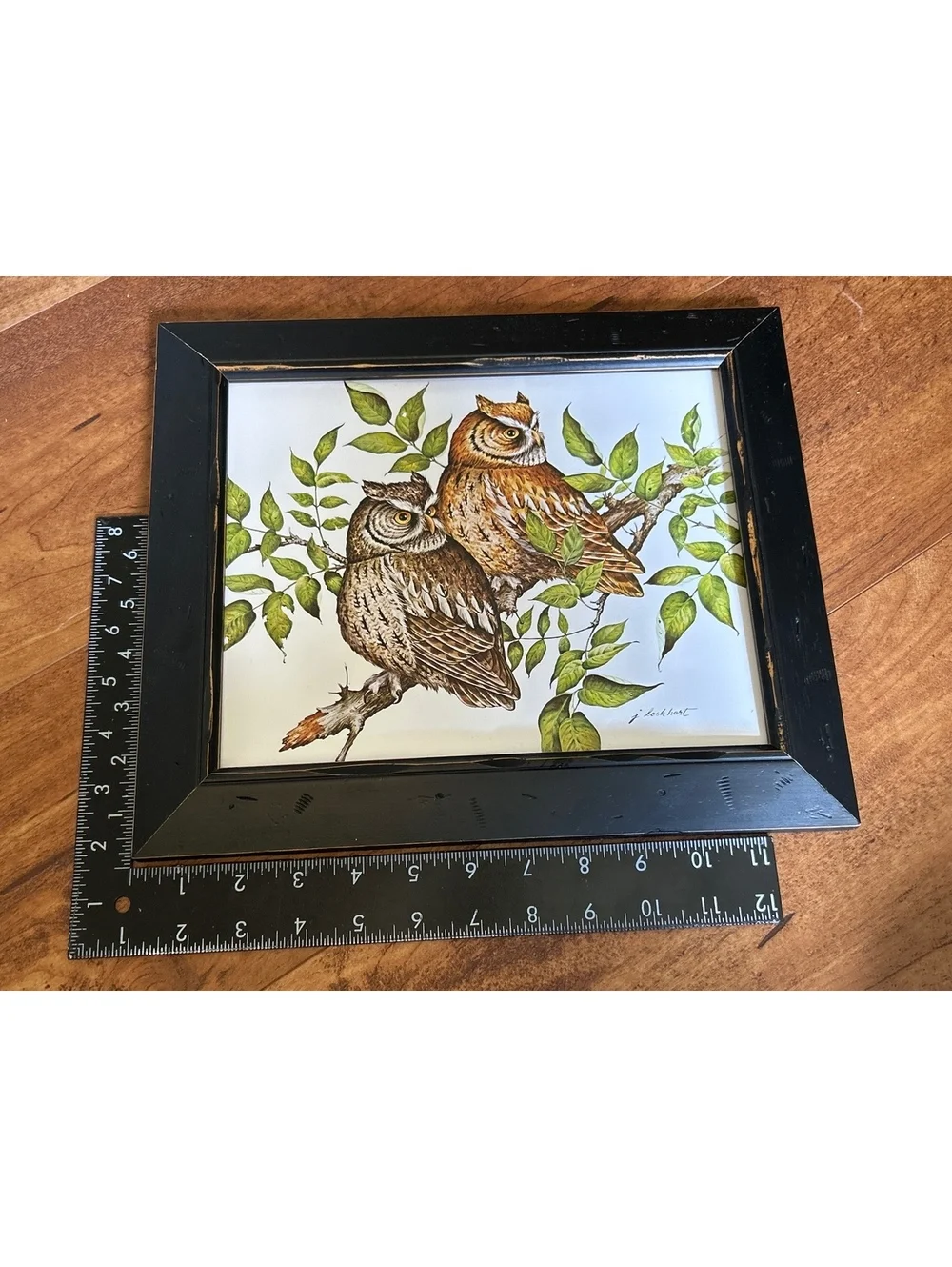 Vintage Owl Artwork Pair in Black Wooden Frames